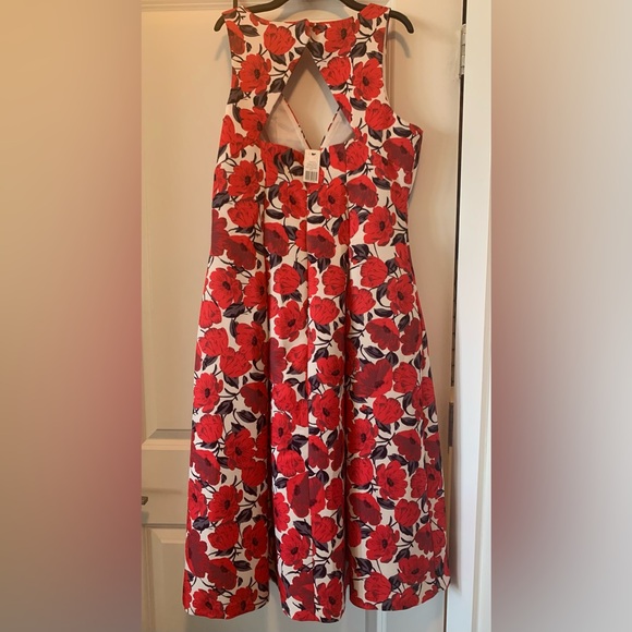NWT Long Tall Sally Size 10 Poppy Fit & Flare Dress - Picture 3 of 8